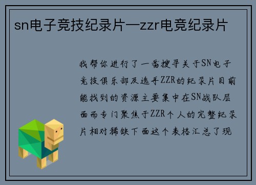 sn电子竞技纪录片—zzr电竞纪录片